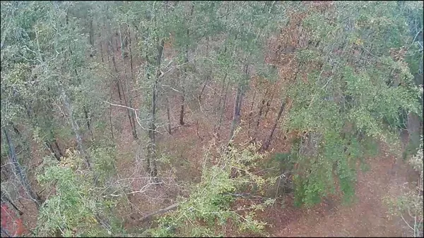 $75,000 | Lot 11 Highway 88 Blythe Ga 30805, Rising Fawn, GA 30738