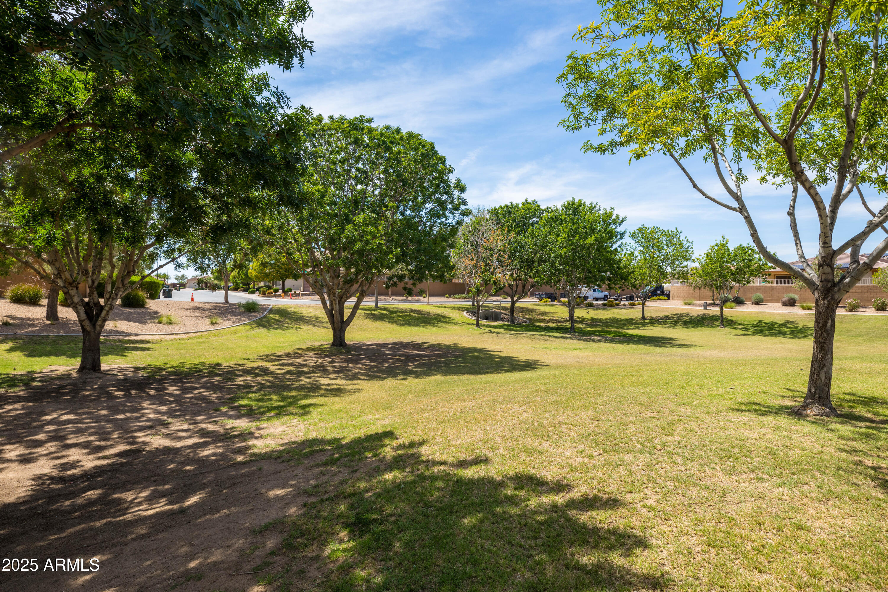 18649 West Williams Street Goodyear, AZ 85338 - Photo 41 of 42 a view of yard with swimming pool and trees