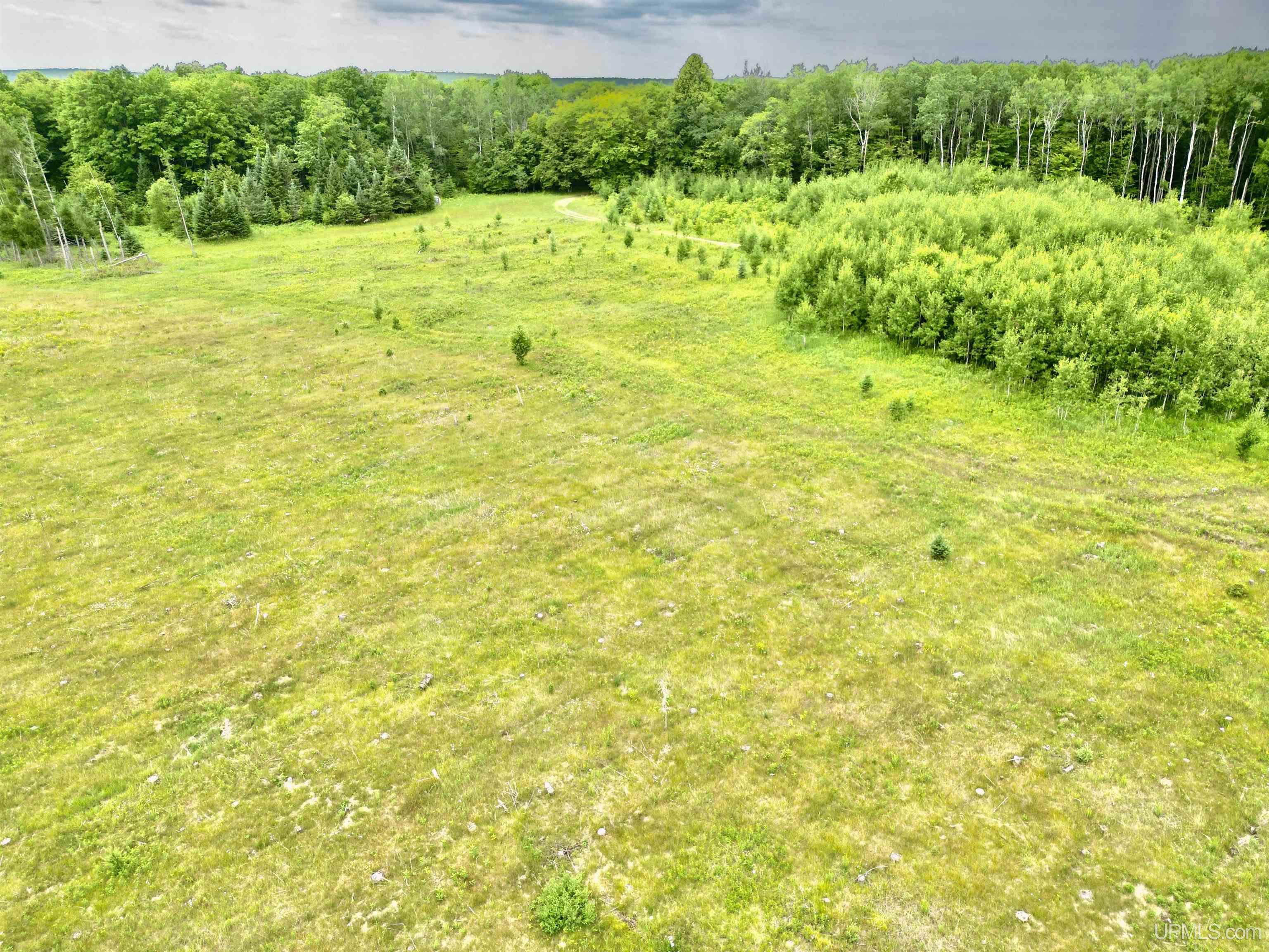 Tbd Tbd Truax Lane Road, Unit 1 Cornell, MI 49818 - Photo 12 of 13