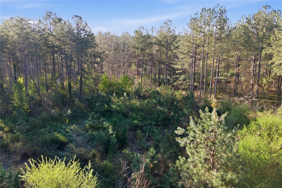 51.3-acres Hall Road Westminster, SC 29693 - Photo 12 of 27