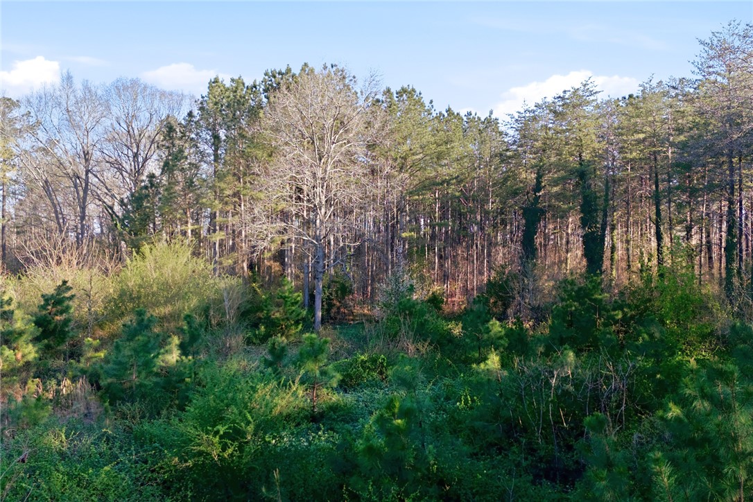 51.3-acres Hall Road Westminster, SC 29693 - Photo 13 of 27