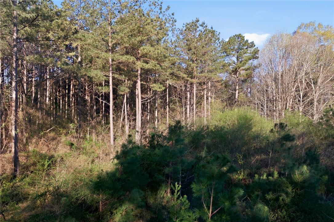 51.3-acres Hall Road Westminster, SC 29693 - Photo 14 of 27