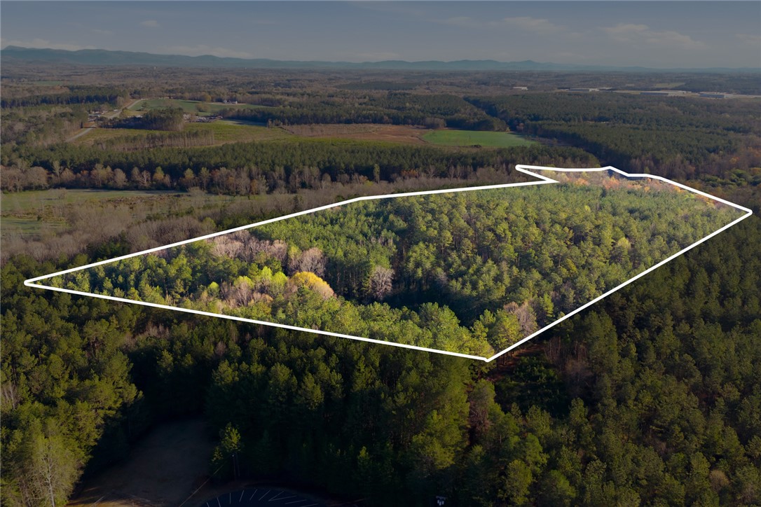 51.3-acres Hall Road Westminster, SC 29693 - Photo 15 of 27