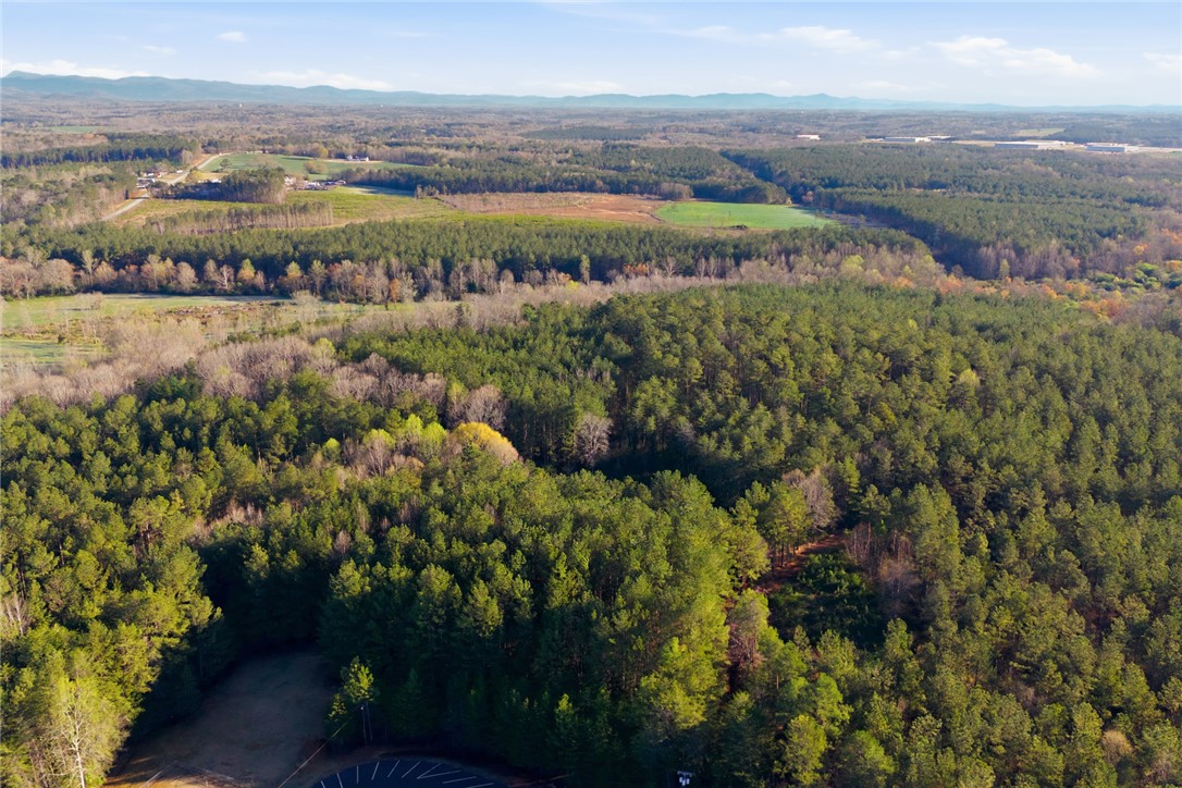51.3-acres Hall Road Westminster, SC 29693 - Photo 16 of 27