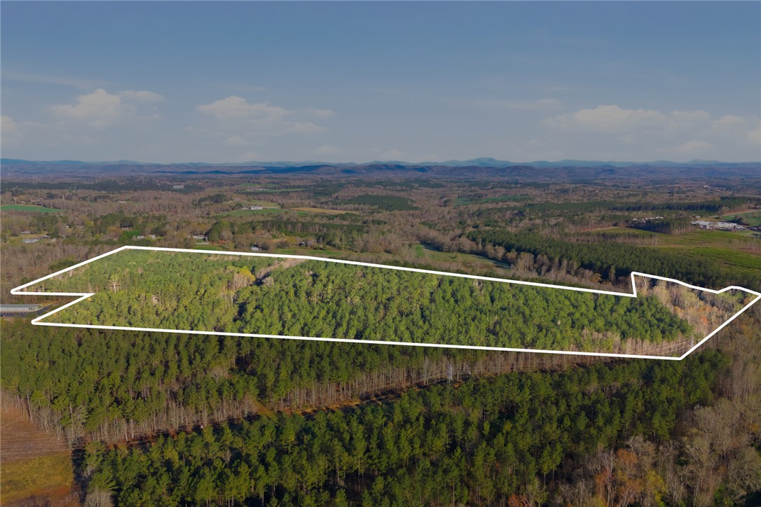 51.3-acres Hall Road Westminster, SC 29693 - Photo 17 of 27