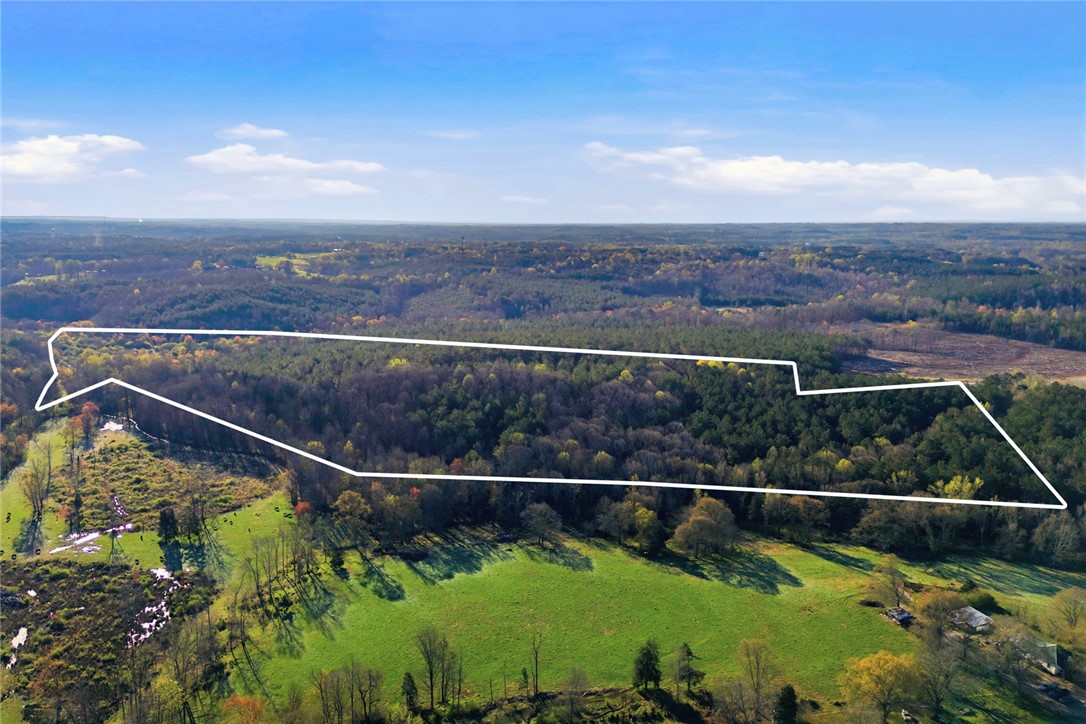 51.3-acres Hall Road Westminster, SC 29693 - Photo 20 of 27