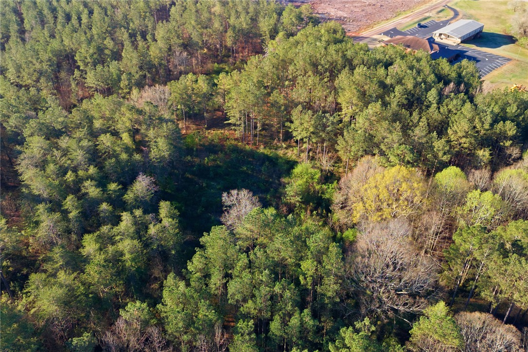 51.3-acres Hall Road Westminster, SC 29693 - Photo 22 of 27