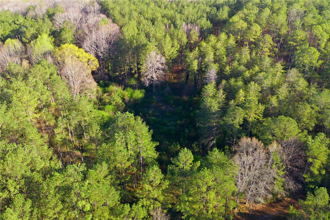 51.3-acres Hall Road Westminster, SC 29693 - Photo 23 of 27