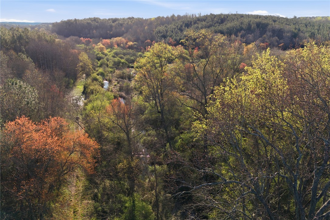 51.3-acres Hall Road Westminster, SC 29693 - Photo 24 of 27