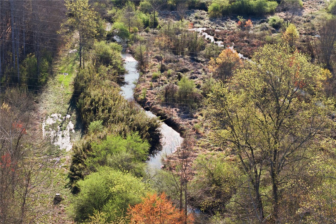 51.3-acres Hall Road Westminster, SC 29693 - Photo 25 of 27