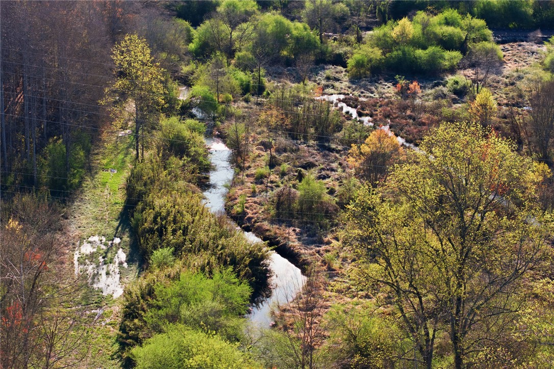 51.3-acres Hall Road Westminster, SC 29693 - Photo 26 of 27