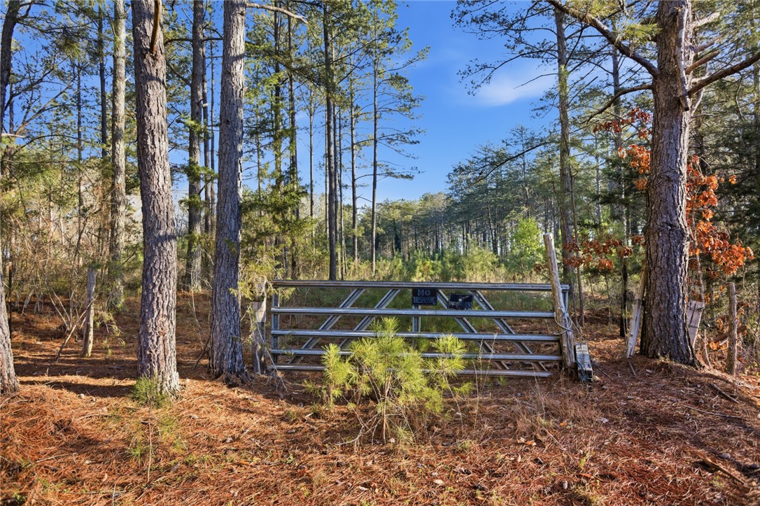 51.3-acres Hall Road Westminster, SC 29693 - Photo 3 of 27
