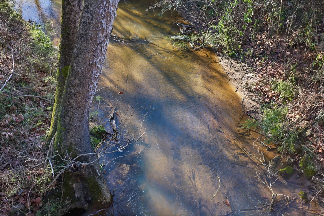 51.3-acres Hall Road Westminster, SC 29693 - Photo 4 of 27