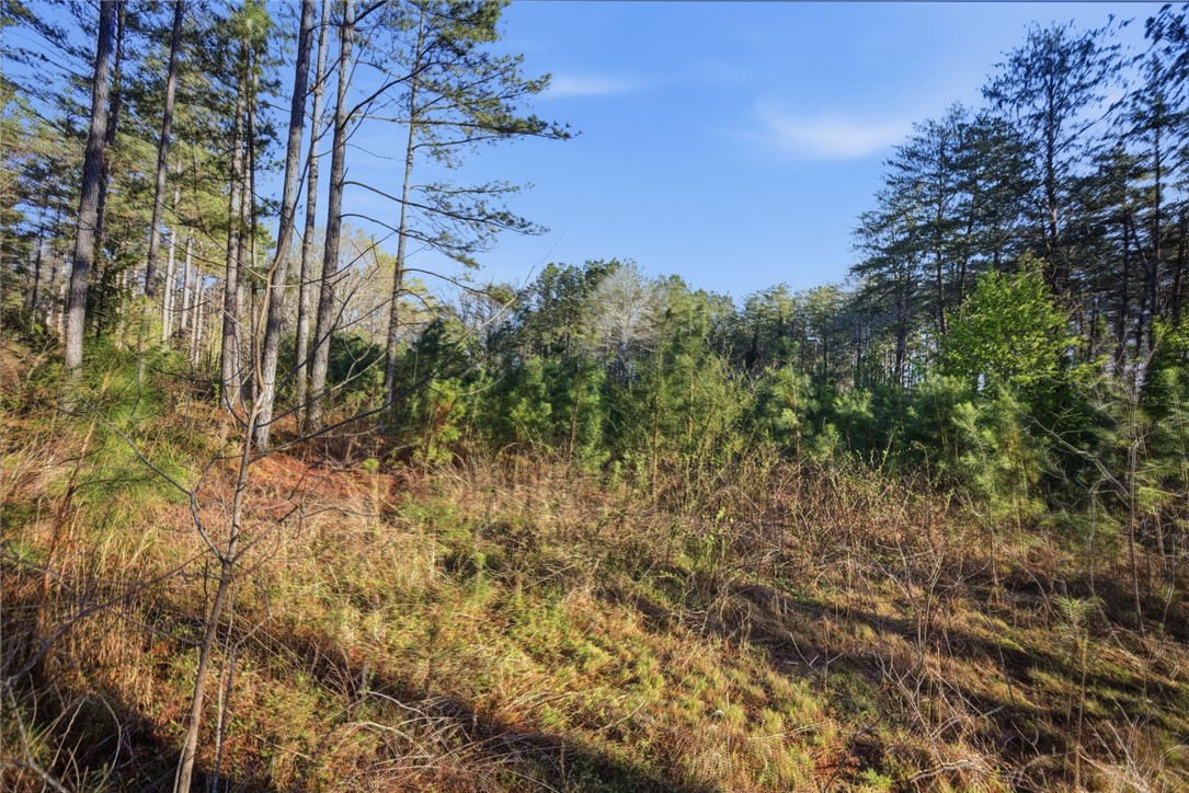 51.3-acres Hall Road Westminster, SC 29693 - Photo 7 of 27