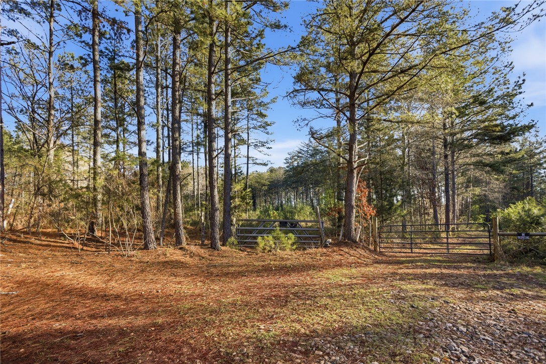 51.3-acres Hall Road Westminster, SC 29693 - Photo 8 of 27