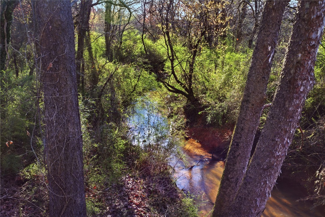 51.3-acres Hall Road Westminster, SC 29693 - Photo 10 of 27