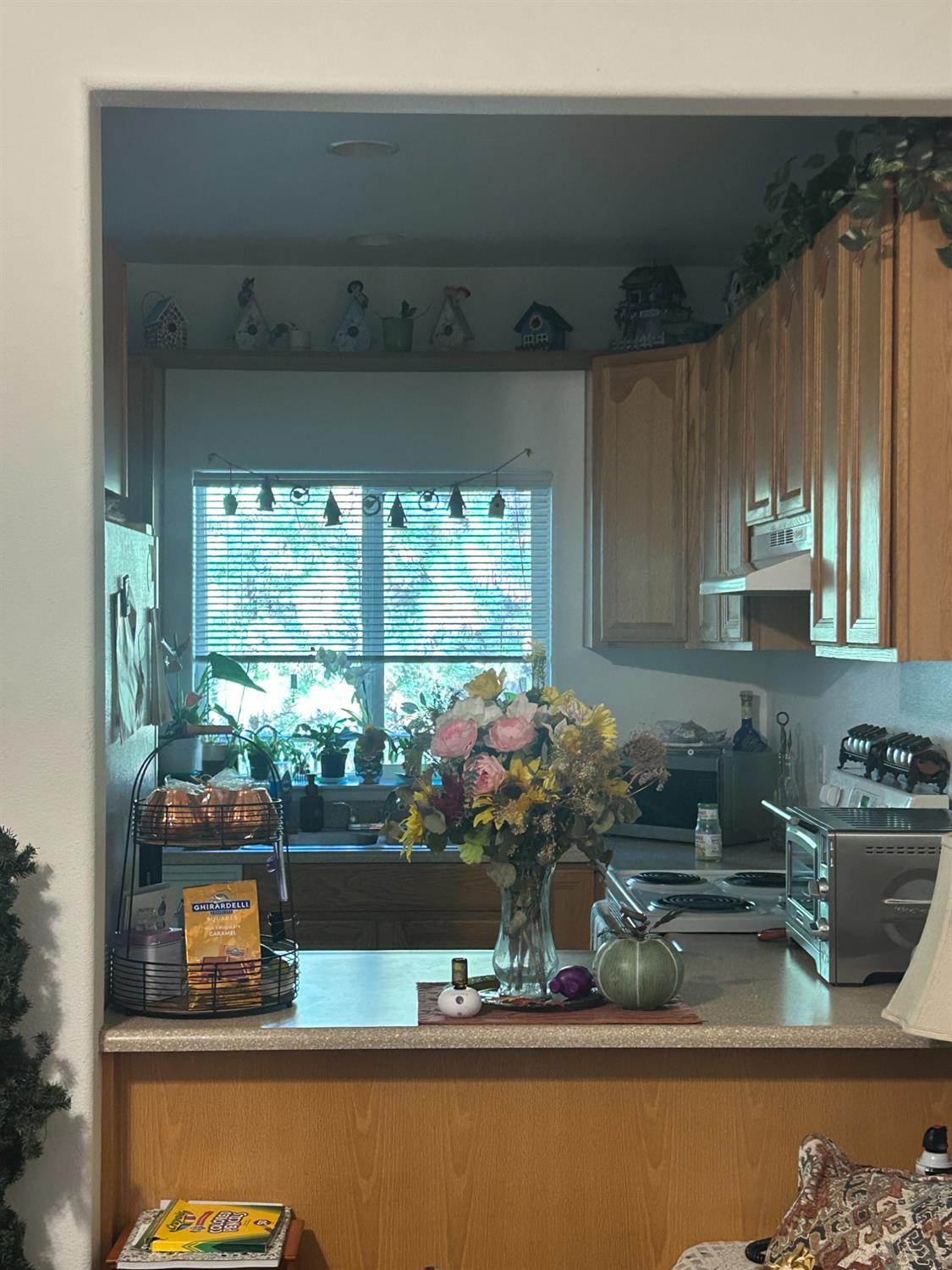 2990 Sippy Lane Placerville, CA 95667 - Photo 10 of 14 Living room open to kitchen unit A