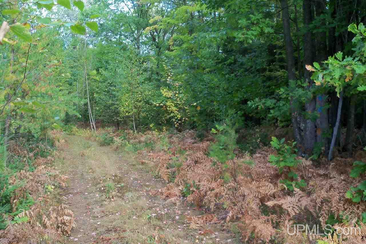 26 Co Road Negaunee, MI 49866 - Photo 3 of 31