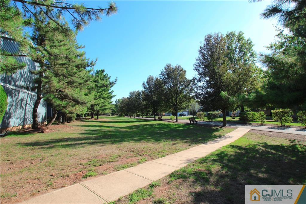 4704 Hana Road Edison, NJ 08817 - Photo 15 of 15 a view of a park with large trees
