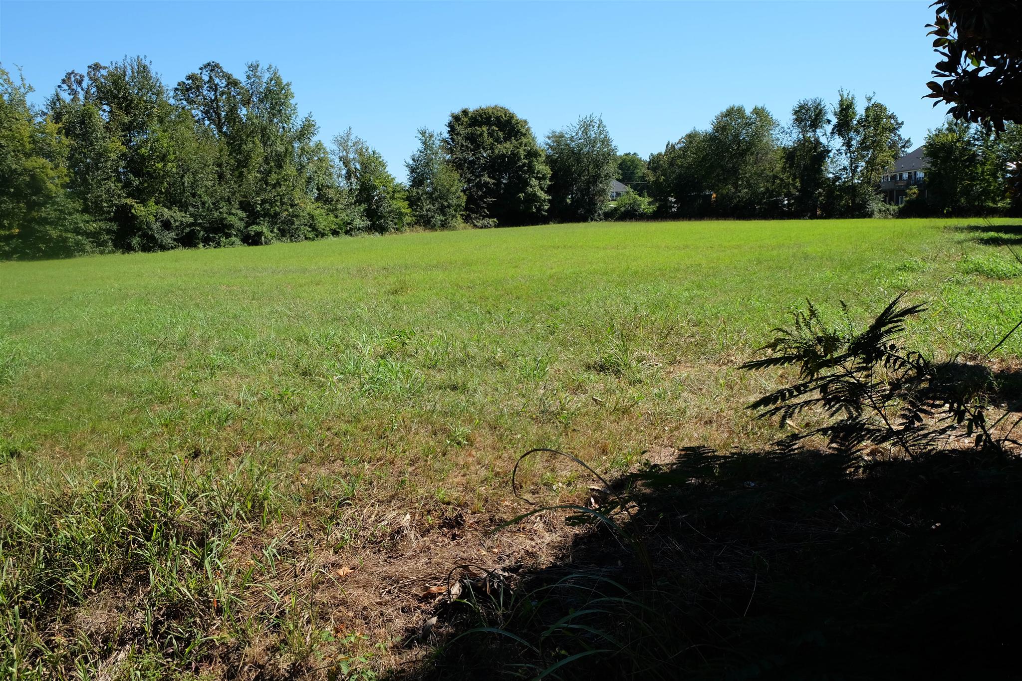 557 Dorris Road Portland, TN 37148 - Photo 8 of 30