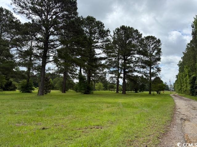 9.76-acs Rabon Road Aynor, SC 29511 - Photo 4 of 20