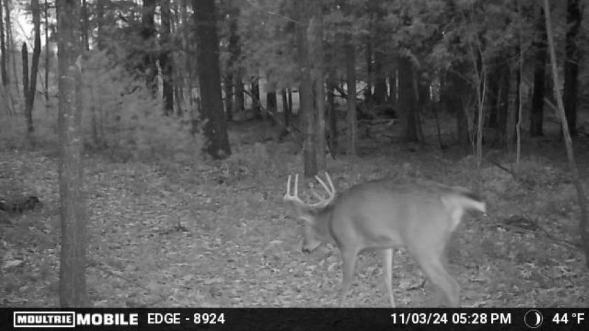 Vl Kolarvic Road Manton, MI 49663 - Photo 16 of 28