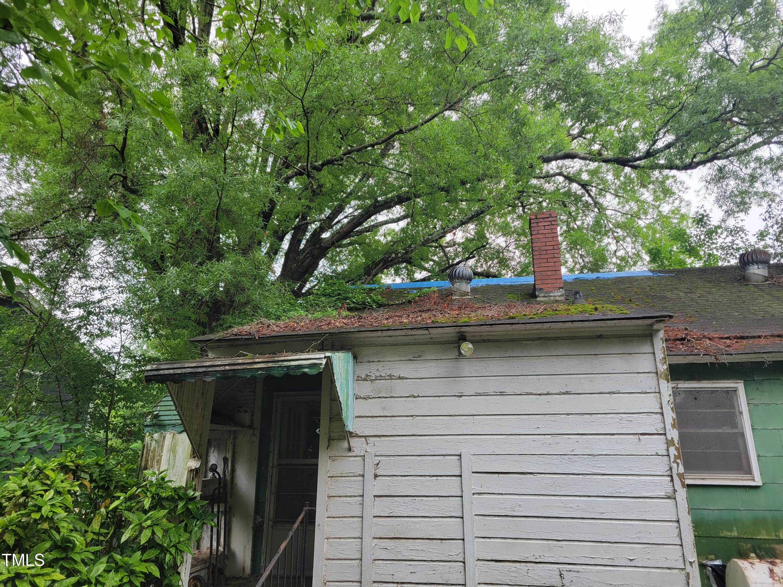 2521 Newbold Street Raleigh, NC 27603 - Photo 12 of 13 a view of backyard of the house