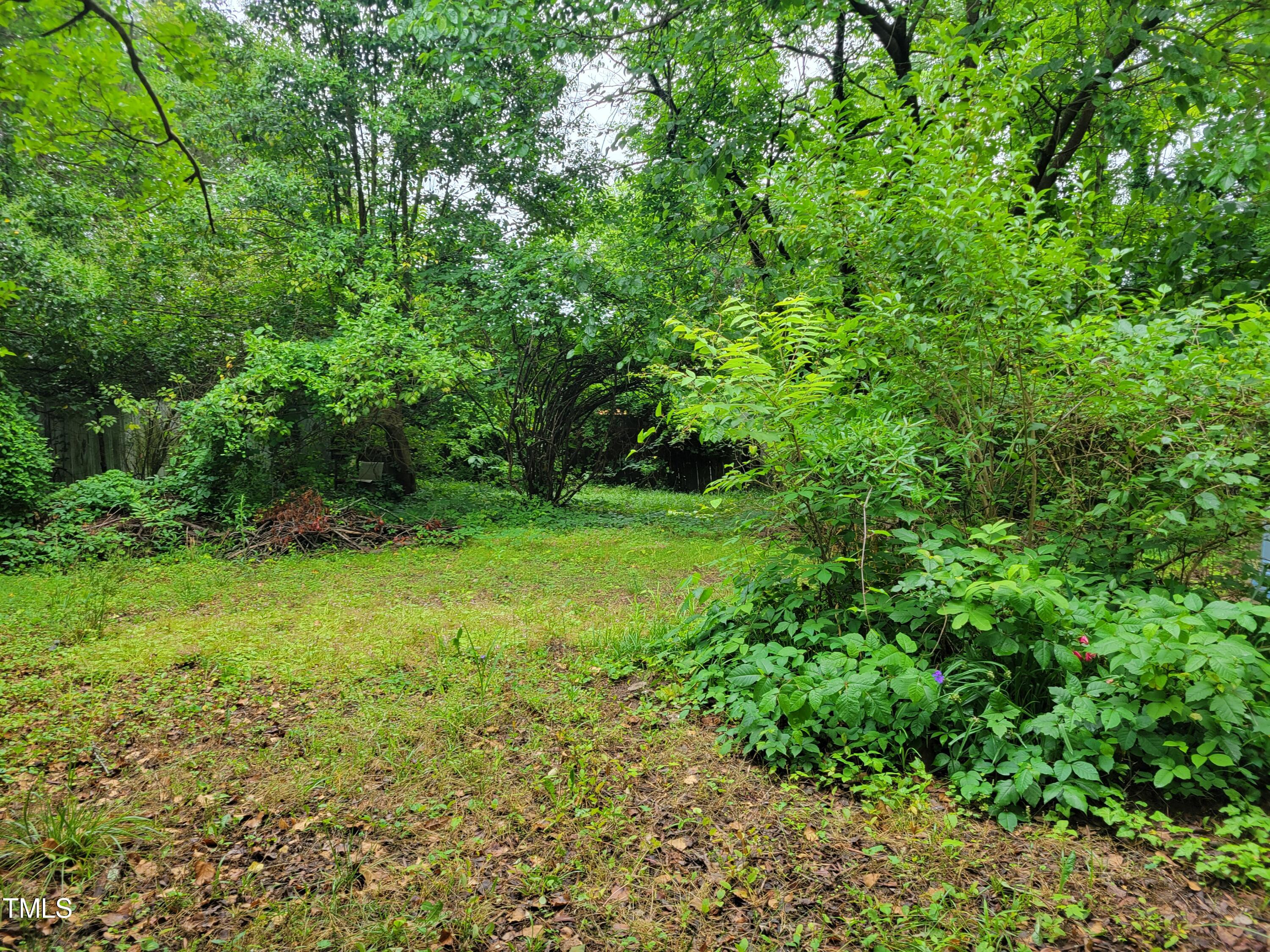 2521 Newbold Street Raleigh, NC 27603 - Photo 6 of 13 a view of yard with green space