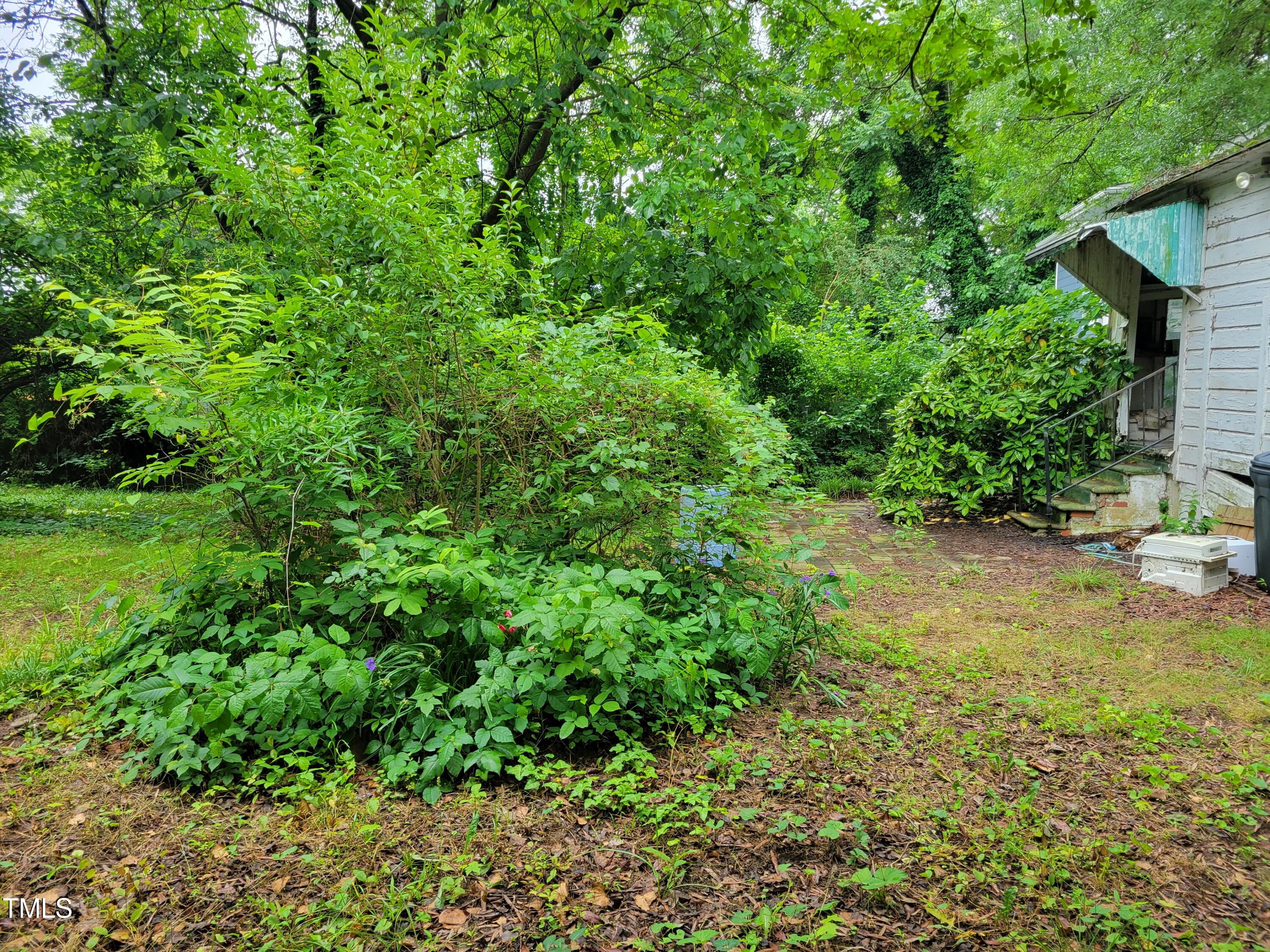2521 Newbold Street Raleigh, NC 27603 - Photo 7 of 13 a view of a yard with plants and a bench