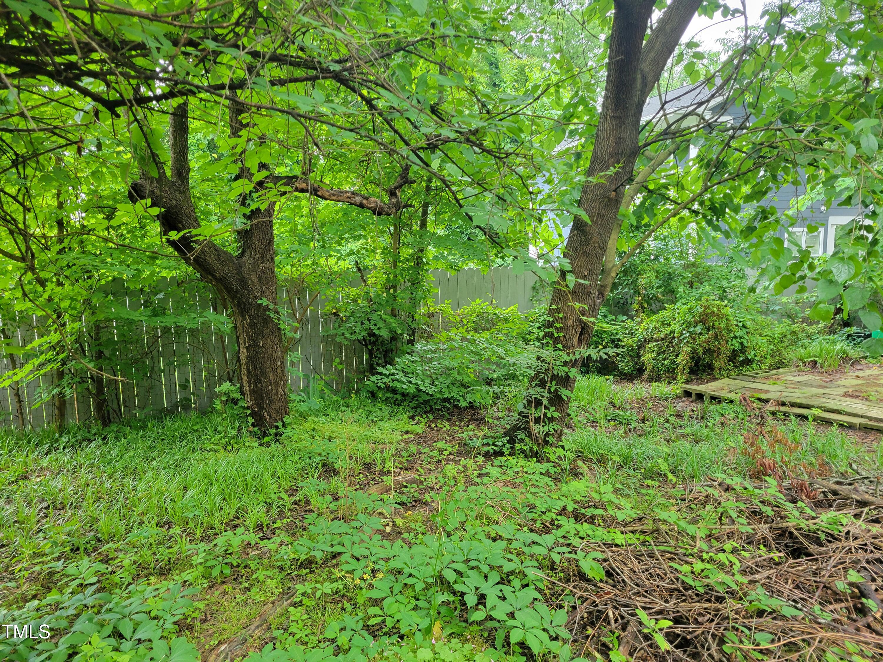 2521 Newbold Street Raleigh, NC 27603 - Photo 9 of 13 a view of a lush green forest with lots of trees