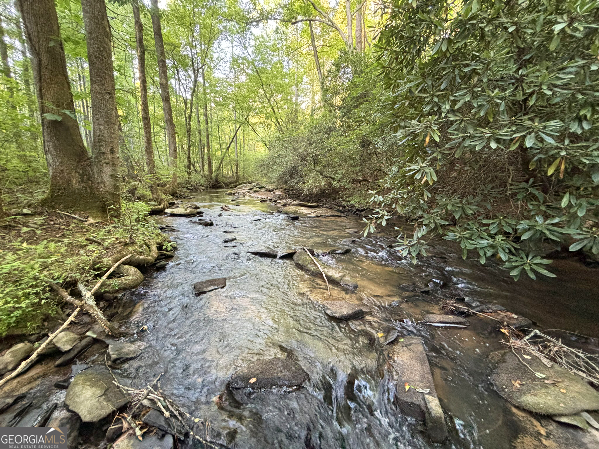 Lot 6 Mt Springer Road Ellijay, GA 30540 - Photo 1 of 34