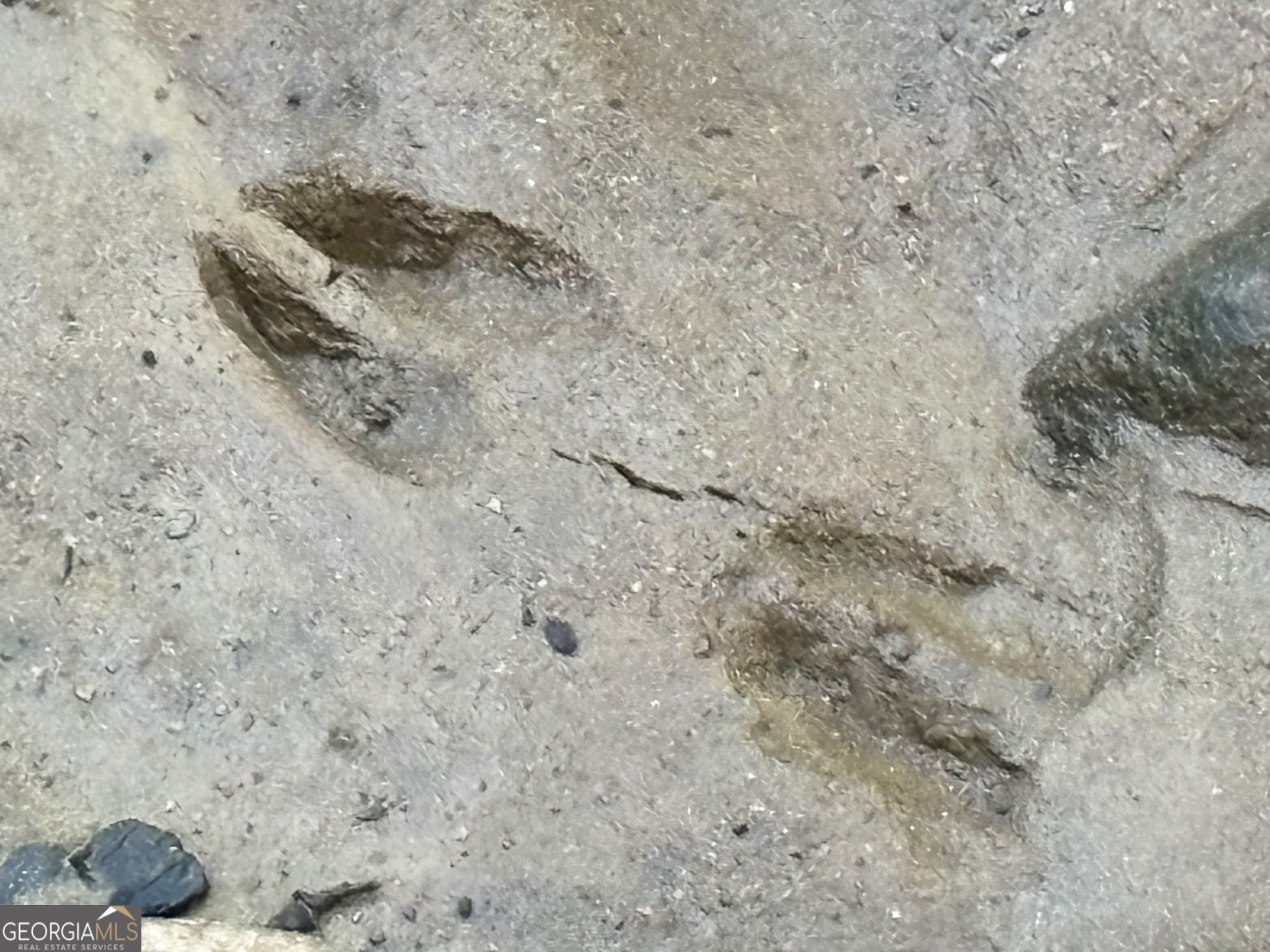 Lot 6 Mt Springer Road Ellijay, GA 30540 - Photo 12 of 34