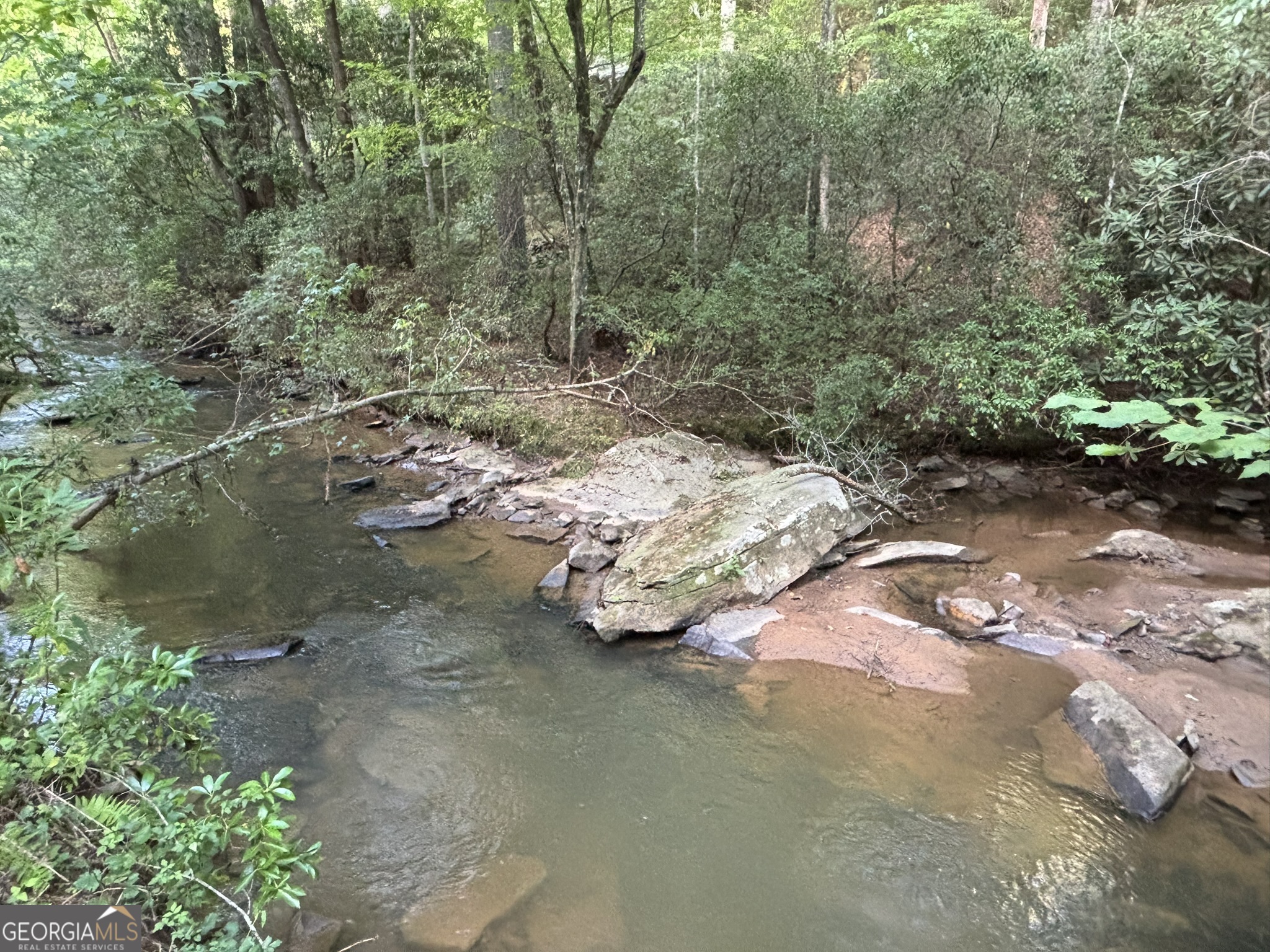 Lot 6 Mt Springer Road Ellijay, GA 30540 - Photo 13 of 34