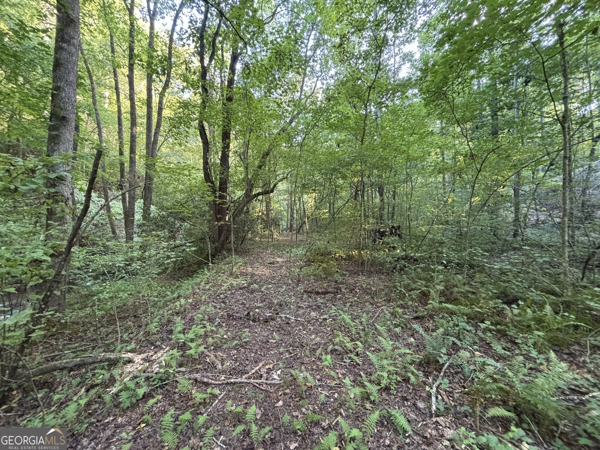 Lot 6 Mt Springer Road Ellijay, GA 30540 - Photo 14 of 34