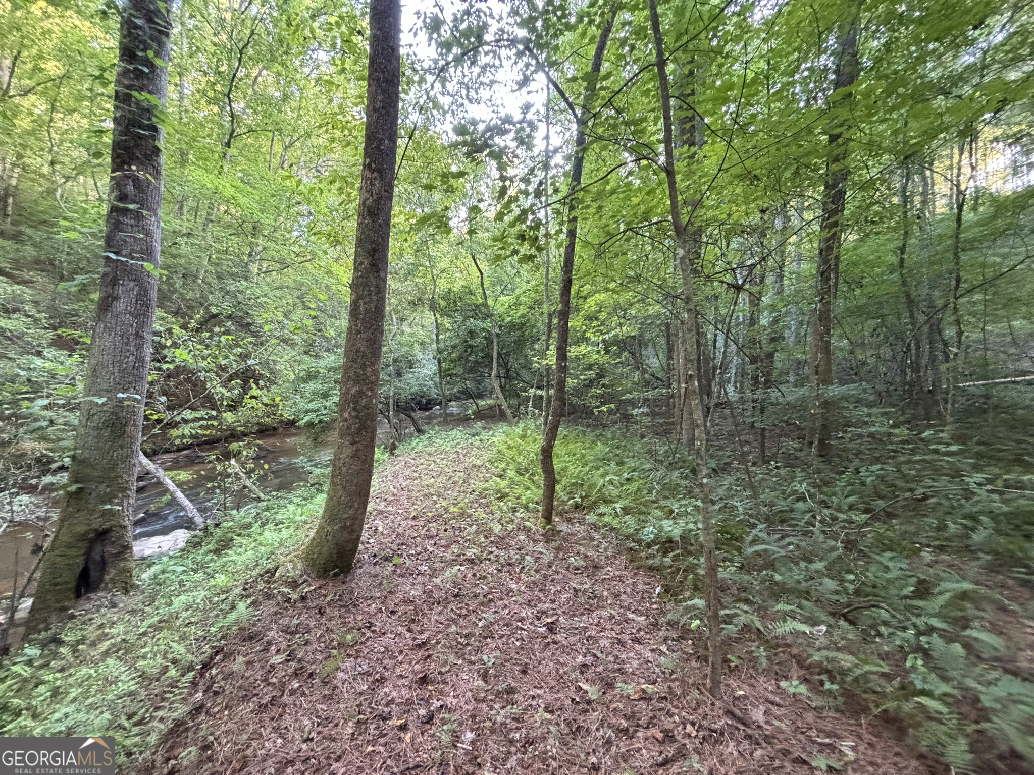 Lot 6 Mt Springer Road Ellijay, GA 30540 - Photo 16 of 34