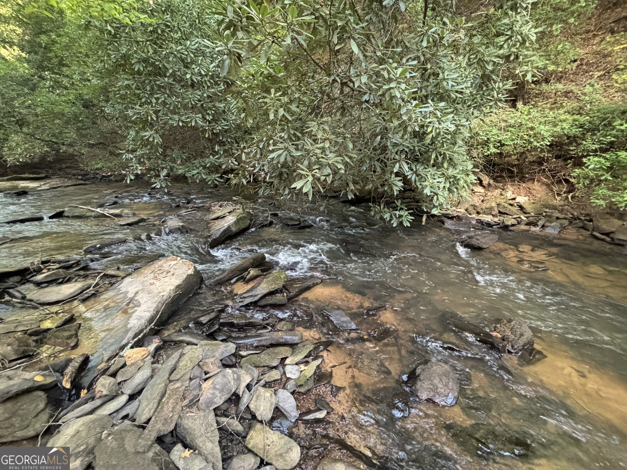 Lot 6 Mt Springer Road Ellijay, GA 30540 - Photo 18 of 34