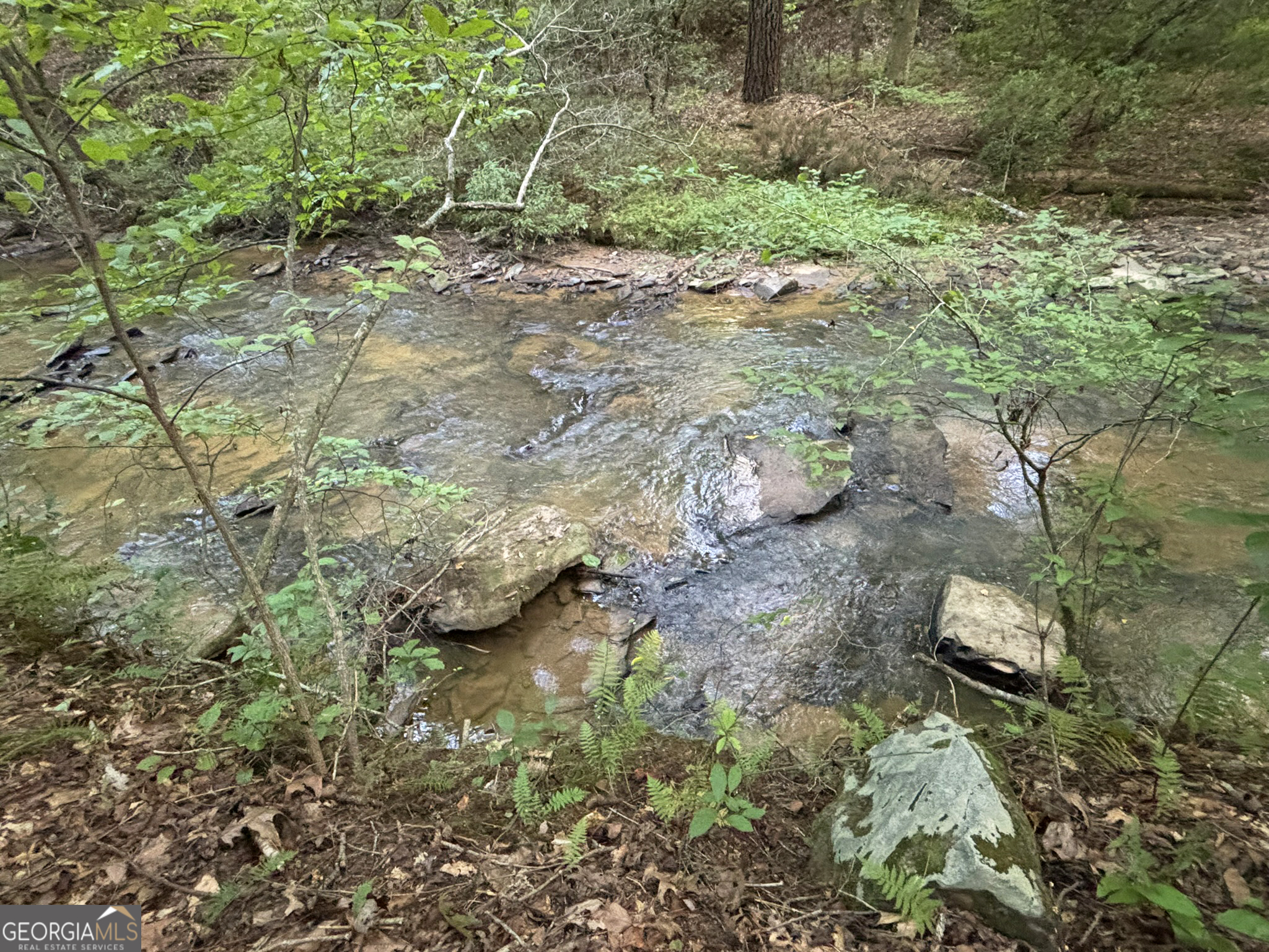 Lot 6 Mt Springer Road Ellijay, GA 30540 - Photo 20 of 34