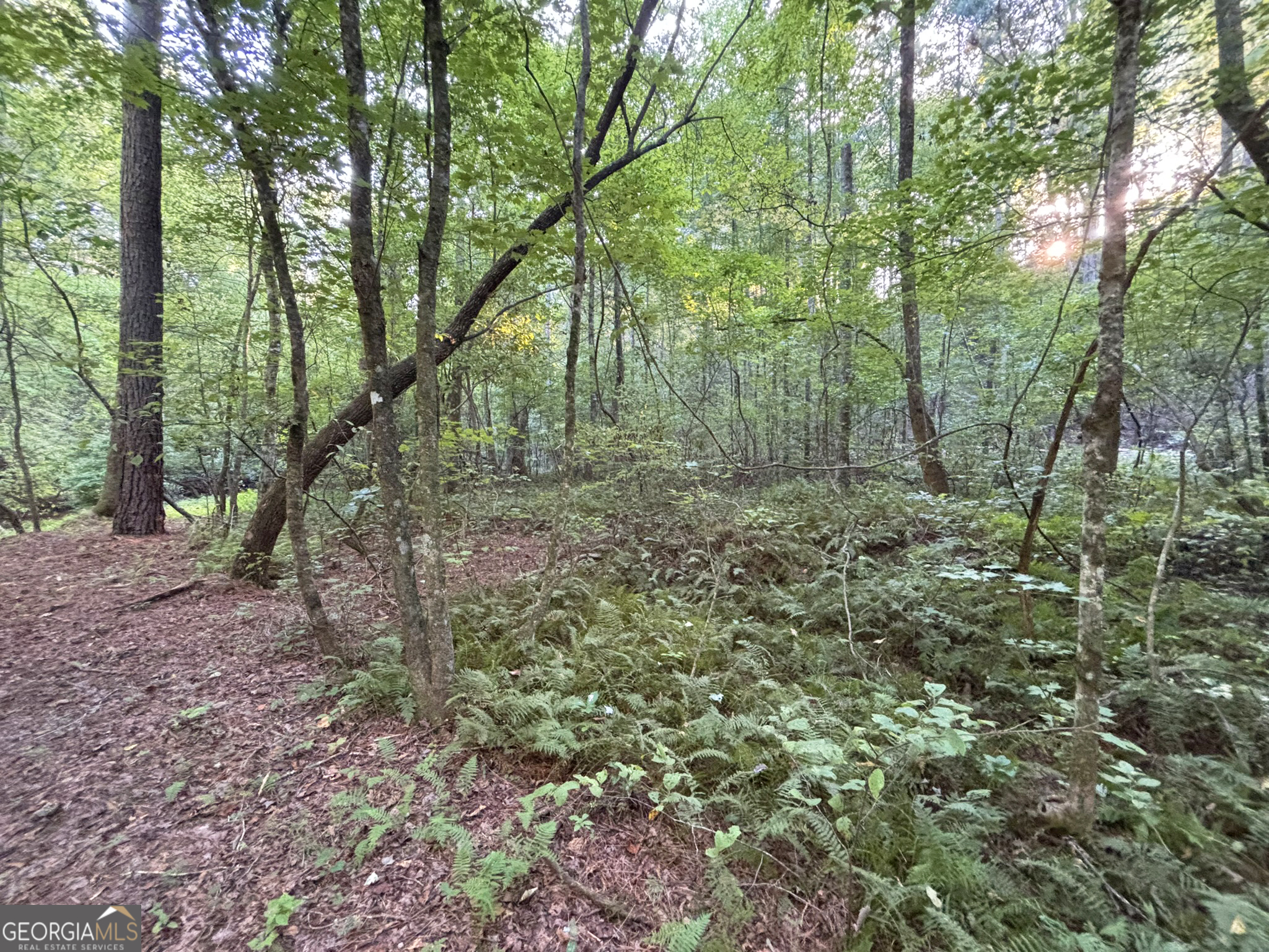 Lot 6 Mt Springer Road Ellijay, GA 30540 - Photo 2 of 34