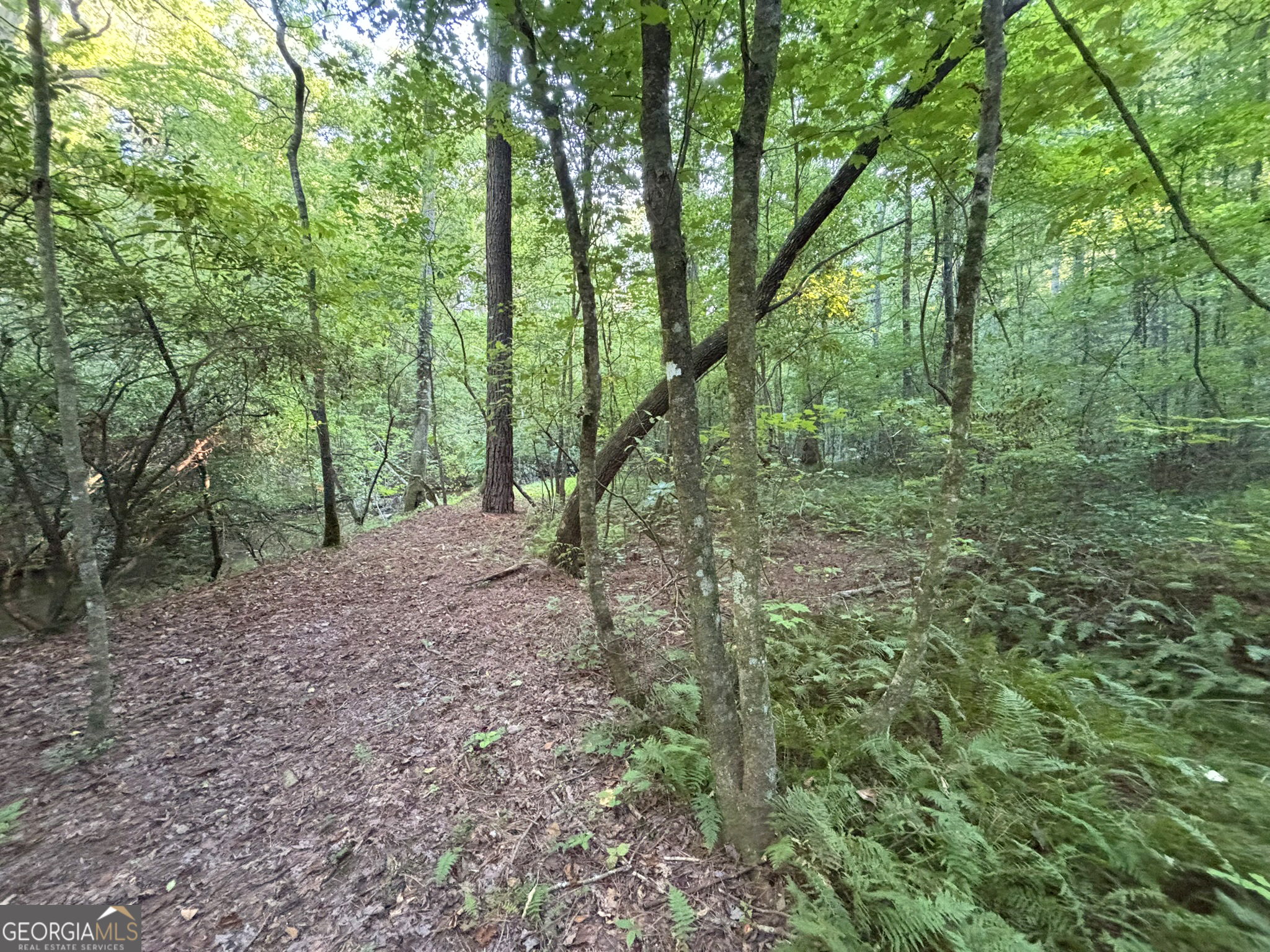 Lot 6 Mt Springer Road Ellijay, GA 30540 - Photo 23 of 34