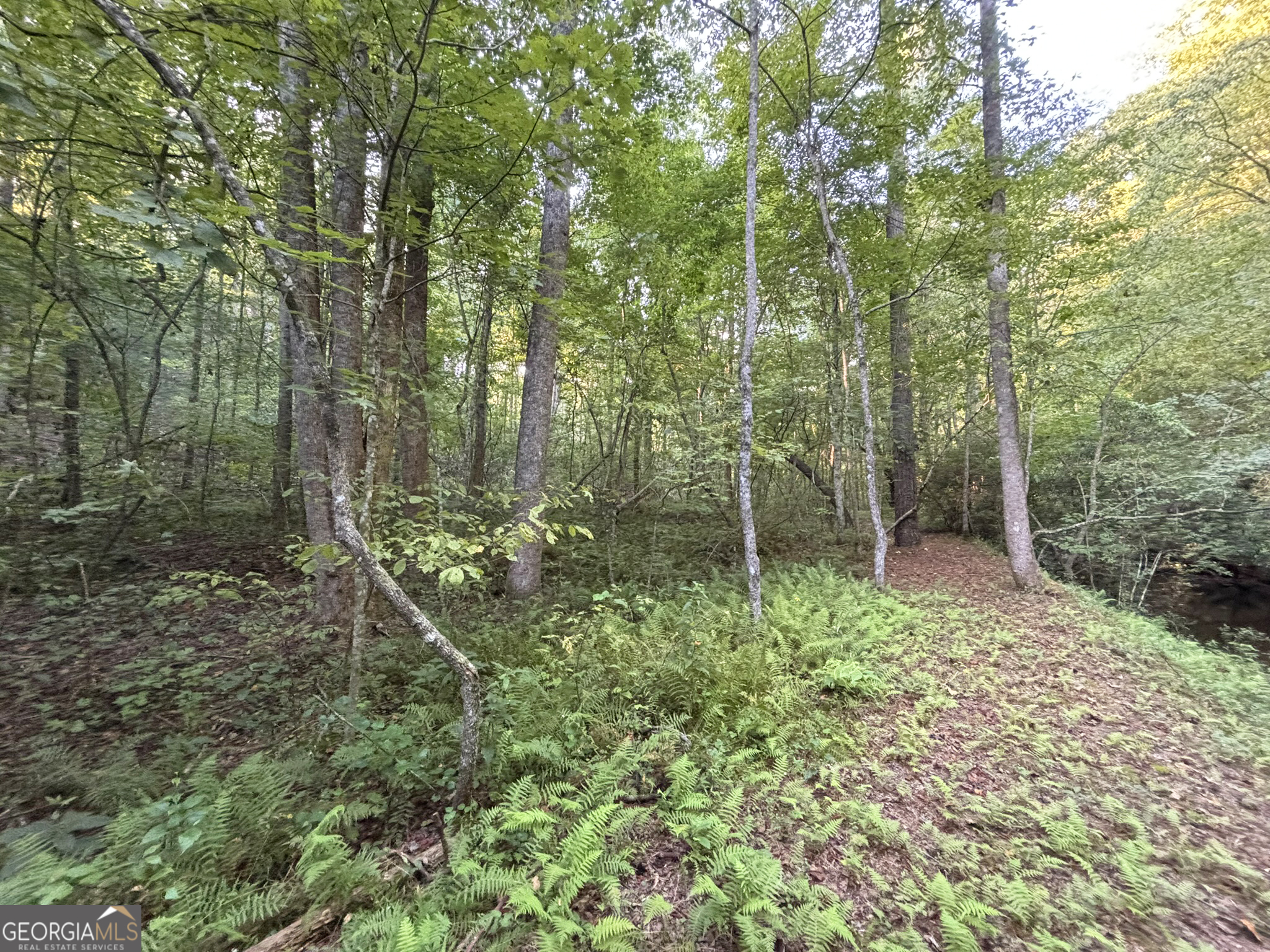 Lot 6 Mt Springer Road Ellijay, GA 30540 - Photo 25 of 34