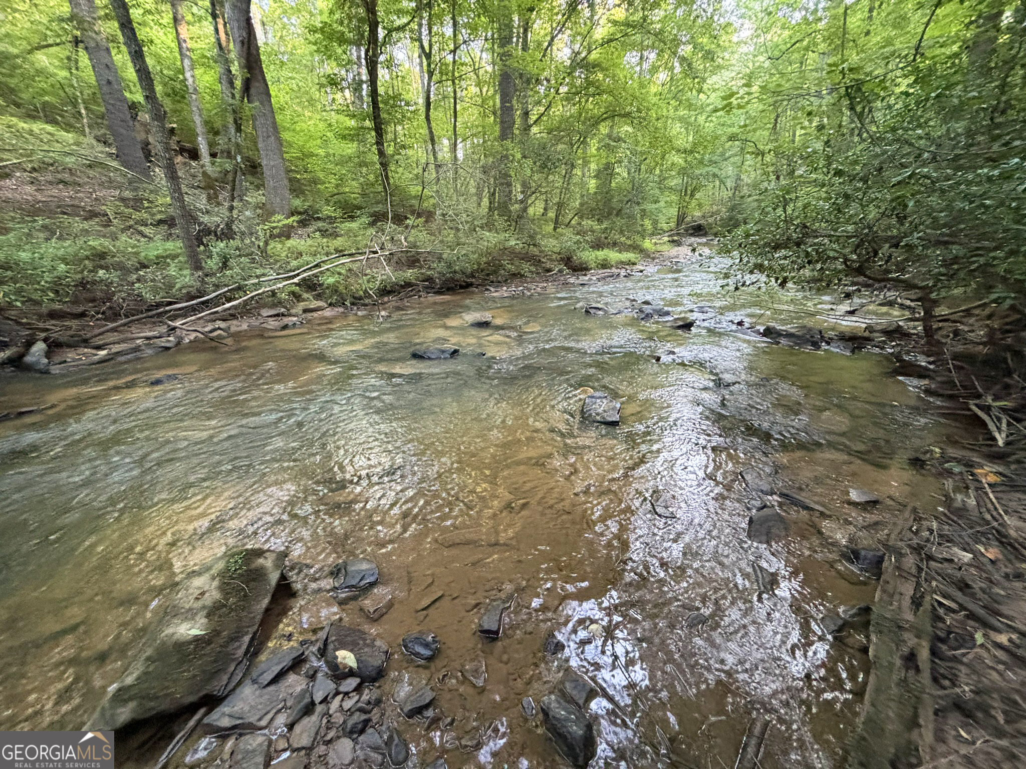 Lot 6 Mt Springer Road Ellijay, GA 30540 - Photo 26 of 34