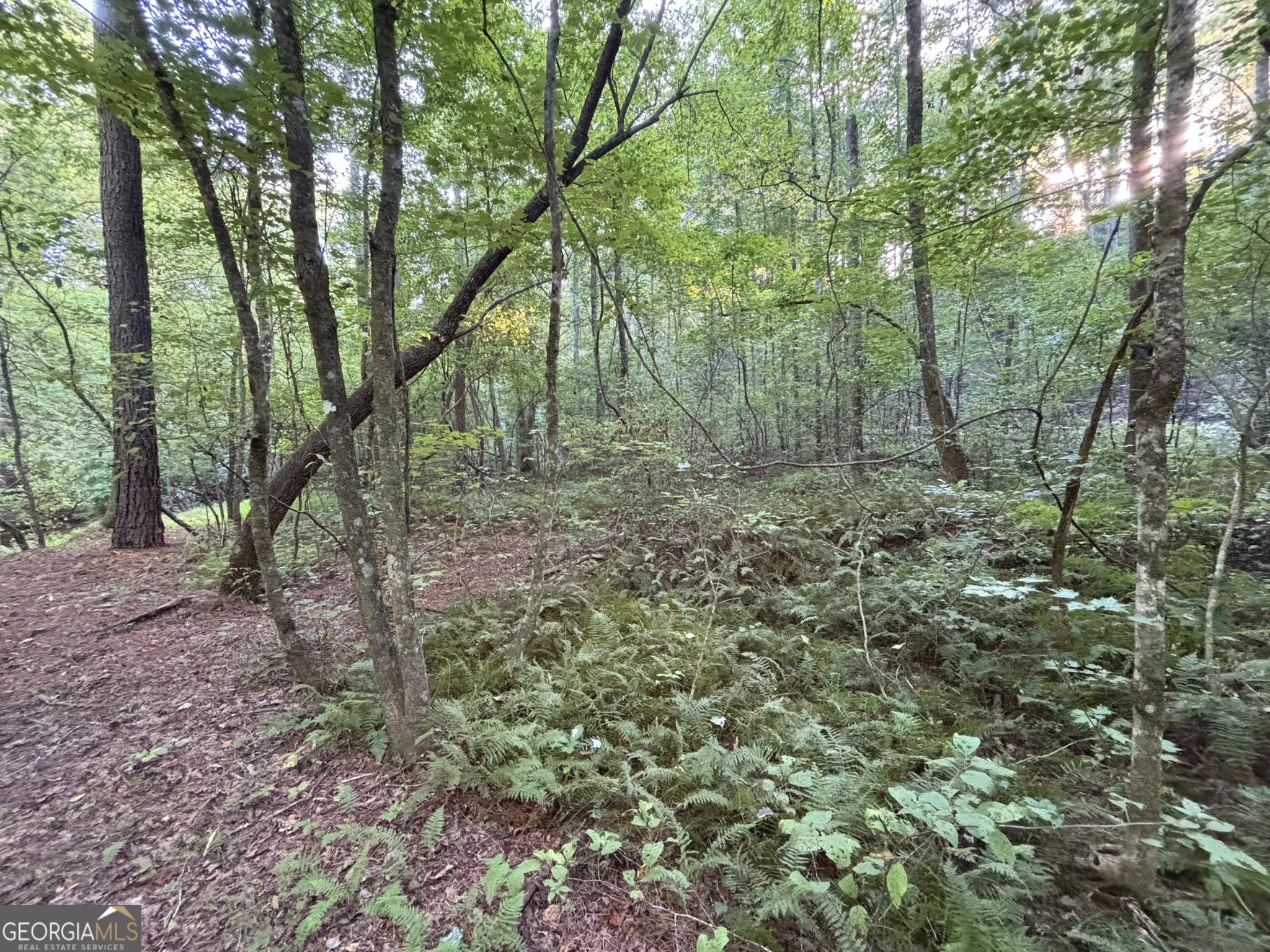 Lot 6 Mt Springer Road Ellijay, GA 30540 - Photo 27 of 34