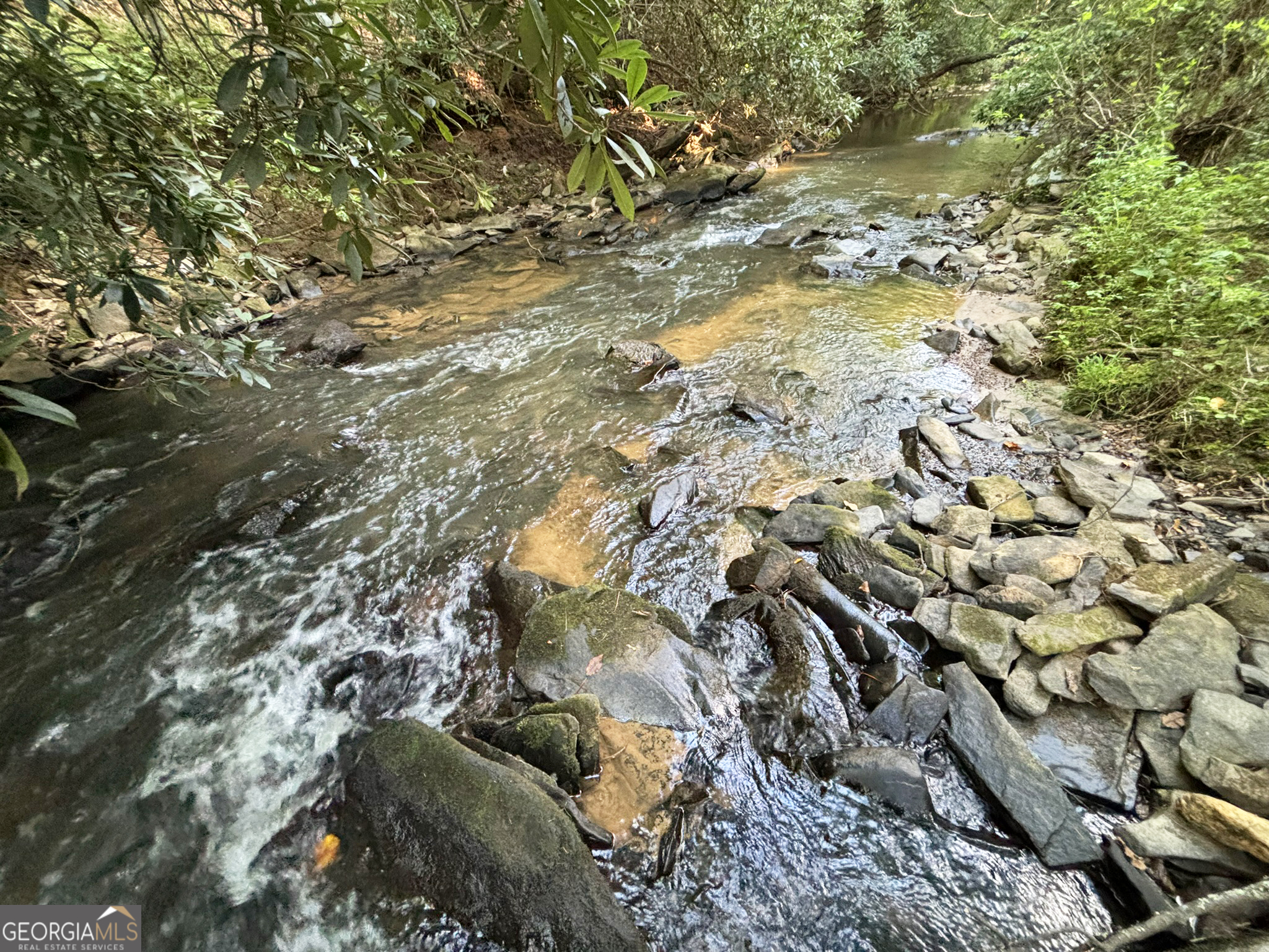 Lot 6 Mt Springer Road Ellijay, GA 30540 - Photo 3 of 34