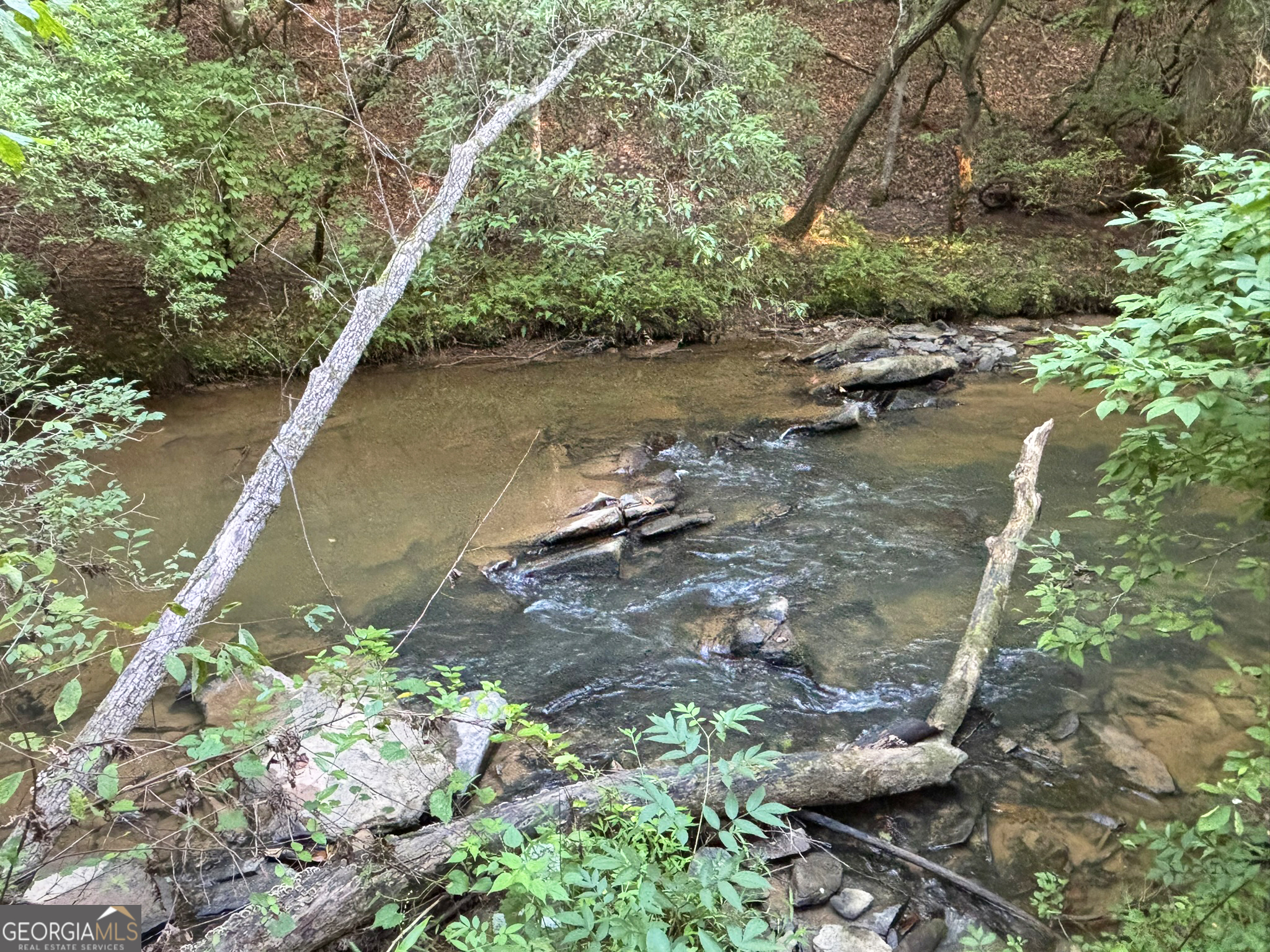 Lot 6 Mt Springer Road Ellijay, GA 30540 - Photo 33 of 34