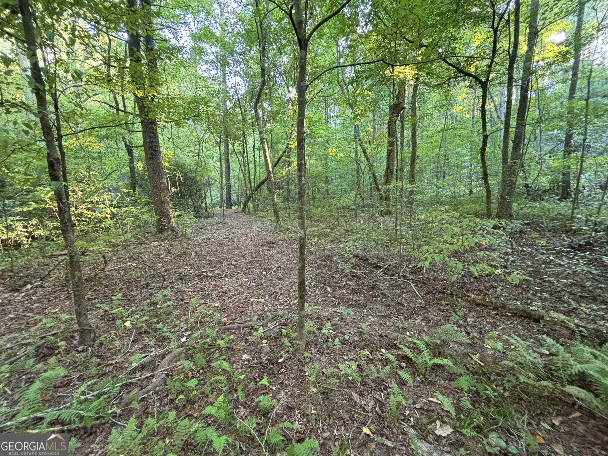 Lot 6 Mt Springer Road Ellijay, GA 30540 - Photo 6 of 34