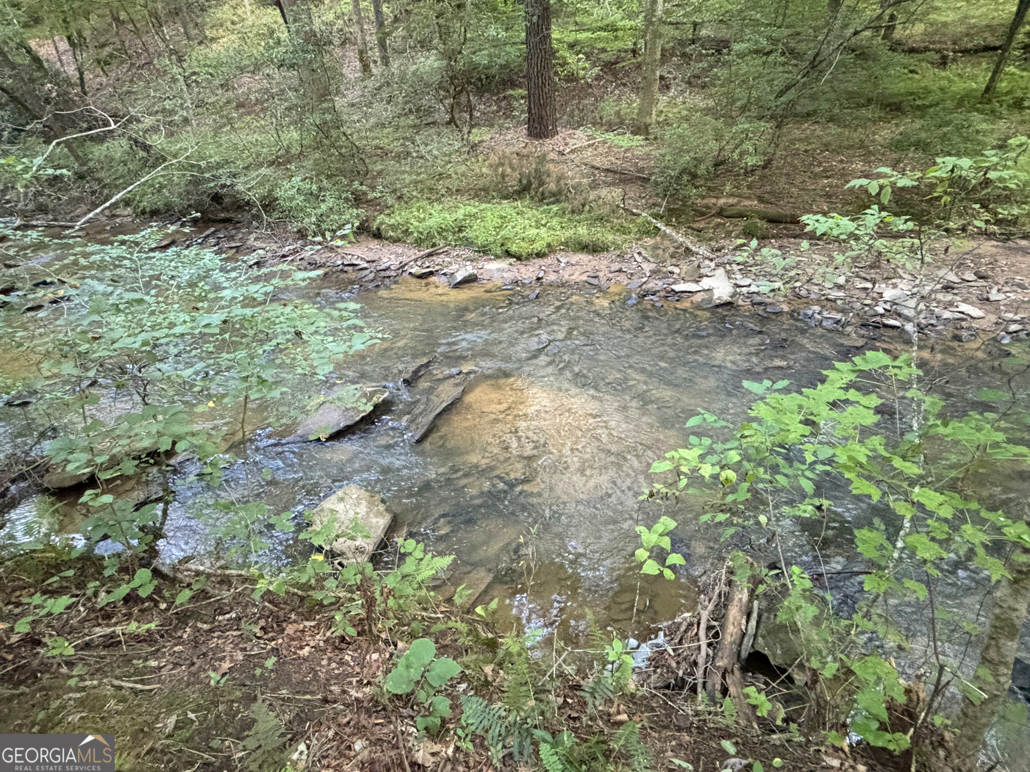 Lot 6 Mt Springer Road Ellijay, GA 30540 - Photo 8 of 34