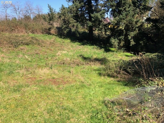 0 South Carlson Road Oregon City, OR 97045 - Photo 3 of 6