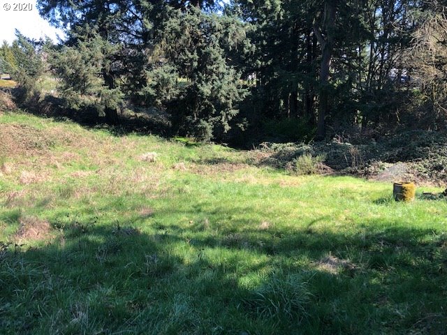 0 South Carlson Road Oregon City, OR 97045 - Photo 4 of 6