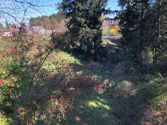 0 South Carlson Road Oregon City, OR 97045 - Photo 5 of 6