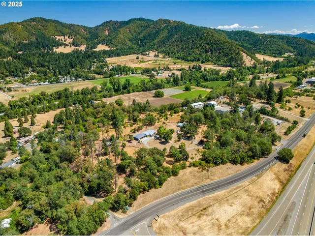 a view of a house with a yard and potted plants